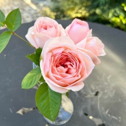 �����ġۥХ��� �����餤�� ���� 6��ȭ�����ʡη����ʼ�ϡ�OS-OS2��