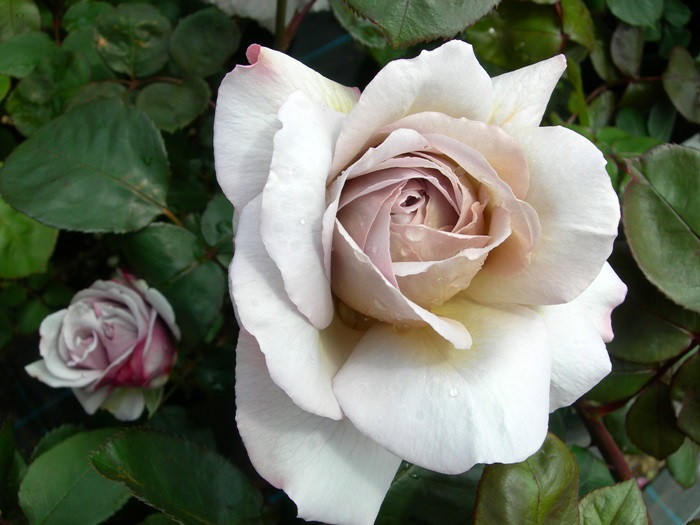 ġۥХ 쥤ѡ  6ȭʡJ-HT20