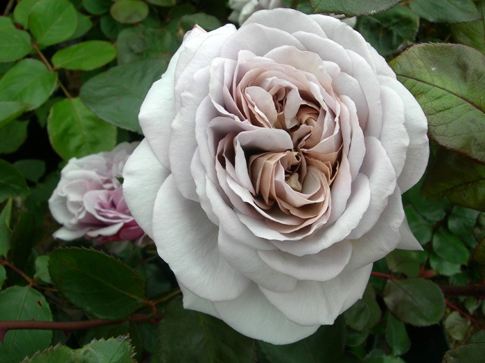 ġۥХ 쥤ѡ  6ȭʡJ-HT20