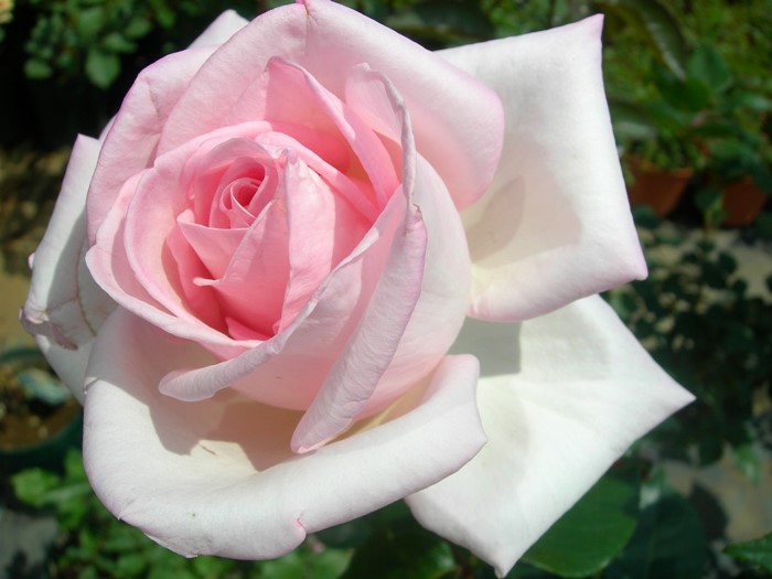 ġۥХ ϥͥ  6ȭʡJ-HT20