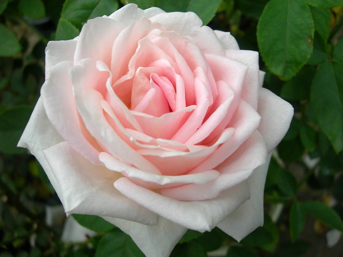 ġۥХ ϥͥ  6ȭʡJ-HT20