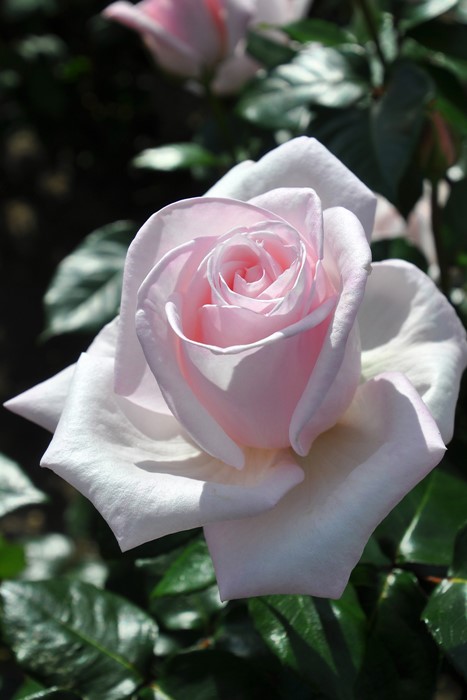 ġۥХ ϥͥ  6ȭʡJ-HT20