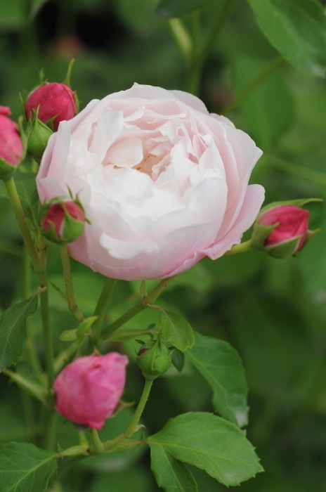 ġۥХ ץ  6ȭʡӿ建 ϿʼϡKb-KBO