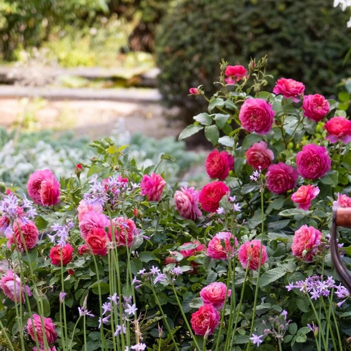 ���ߵ����ġۥХ��� ���ޥ֥�å����������� ͢���� 7��ȭ�����ʡη����ʼ�ϡ�ER-Y��