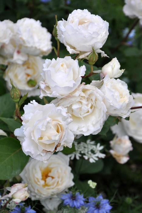 Хġġۥץ󥻥ƥ󥳡  6ȭʡηʼϡKb-KBO