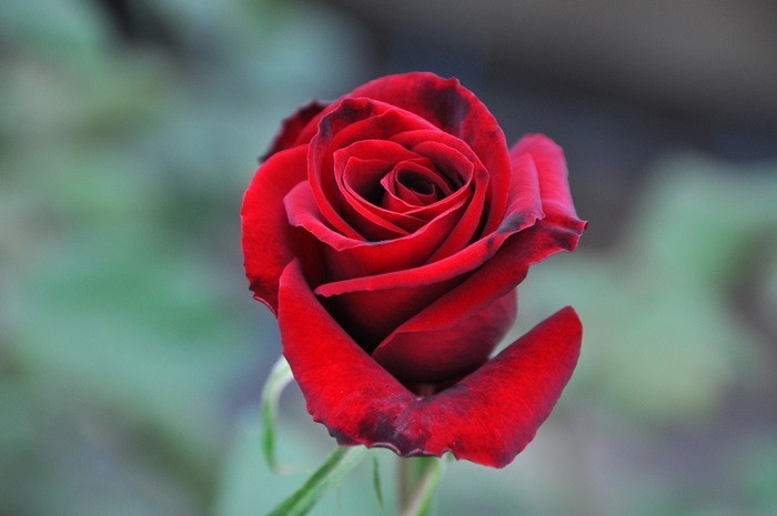 ġۥХ ֥å  6ȭʡηʼϡMA-MA