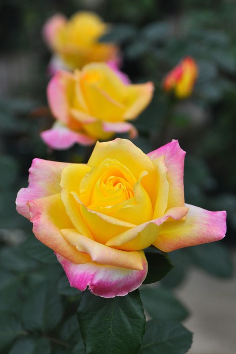 Хġġۥ&ԡ  6ȭʡJ-HT20