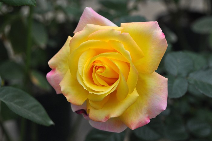 Хġġۥ&ԡ  6ȭʡJ-HT20