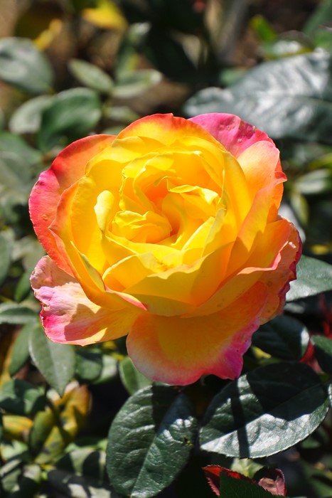 Хġġۥ&ԡ  6ȭʡJ-HT20