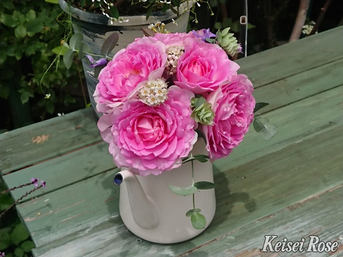 ���ߵ����ġۥХ��� ���������� ���� 6��ȭ�����ʡ����ӿ建�� �ʼ���Ͽ�д���ϡ�J-IRM3�ա�1120�����