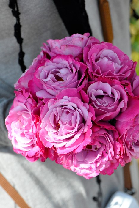 �Х��ġ����ġۥߥ�ꥨ����Х� ���� 6��ȭ�����ʡη����ʼ�ϡ�JB-ORA��