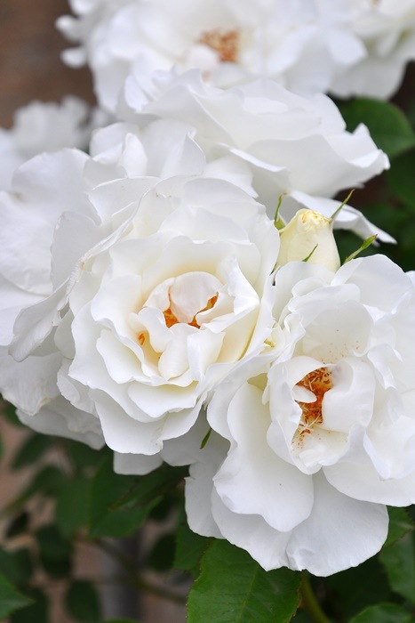 Хġ6濷ġۥ饷  6ȭʡӿ建 ʼϿдϡJ-RP