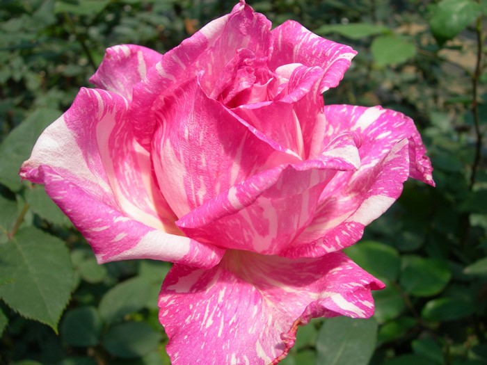 ġۥХ 󥿥ॺ  6ȭʡJ-HT20