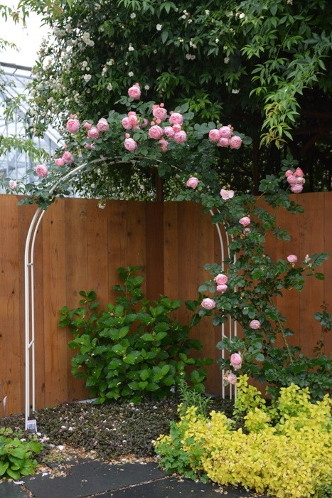 ġۥХ ޥƥå  6ȭʡӿ建 ϿʼϡJ-RO