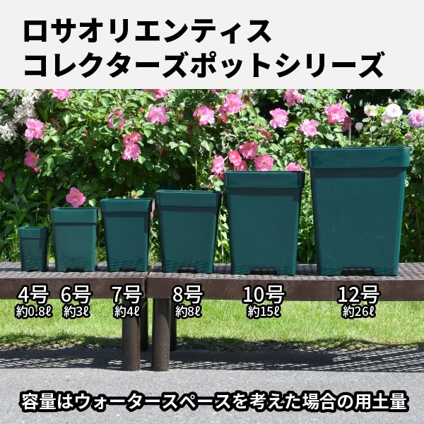 8ѡ5ȭåȡۥץߥ쥯8ѿȭ5ȭåȡۥꥨƥ 쥯ݥåȡڥХȭȭ ZIK-900