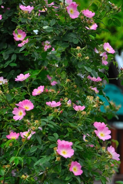 Хġġۥƥꥢ  6ȭʡJ-OB20