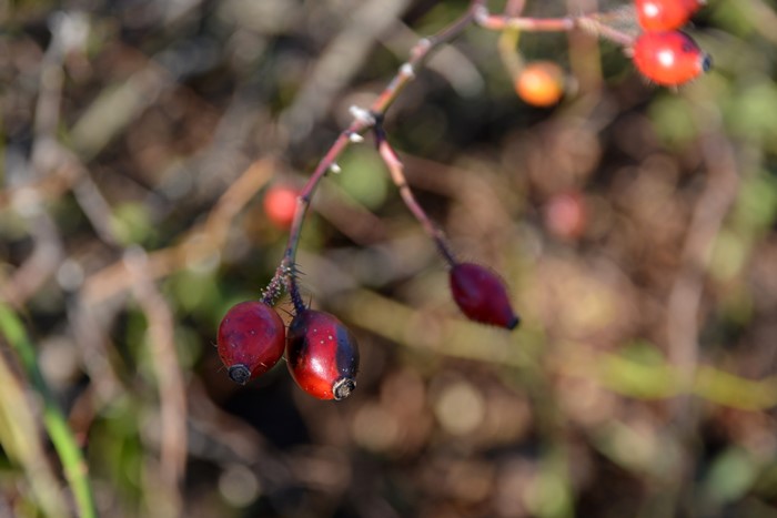 Хġġۥƥꥢ  6ȭʡJ-OB20