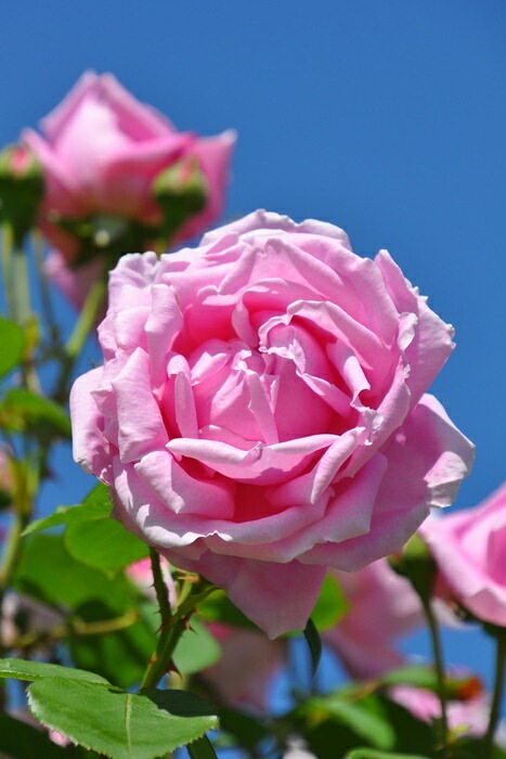 ġۥХ ޥ५ƥȥ  6ȭʡJ-HT20