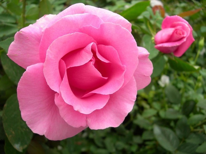 Хġġۥޥåȥˡ  6ȭʡJ-HT10