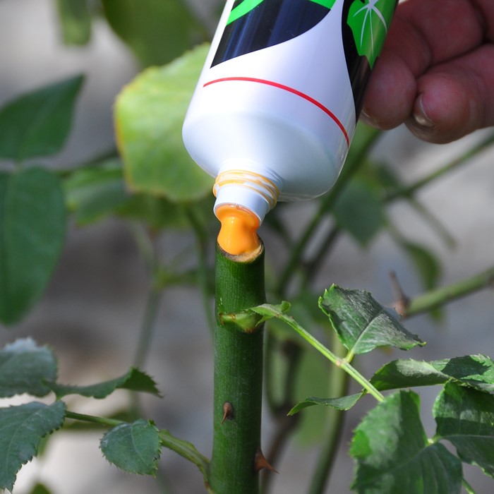 �ȥåץ���M�ڡ����� 200g ���ڥ��åȤ�Ʊ���Ģ� ZIK-10000