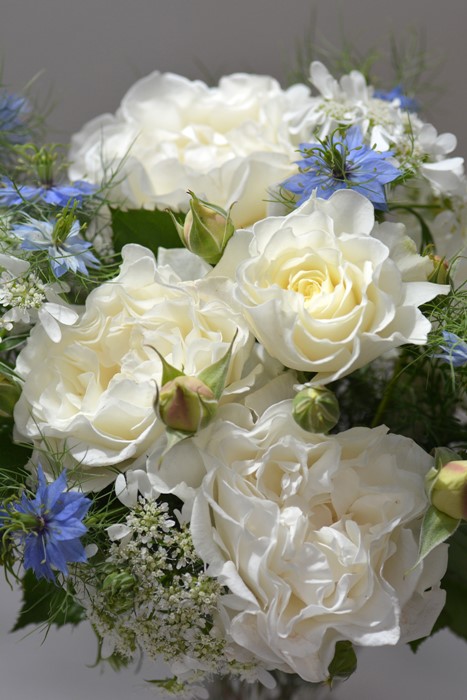 �Х��ġ����ġۥ��塼��͡����� ���� 6��ȭ�����ʡη����ʼ�ϡ�J-RO��