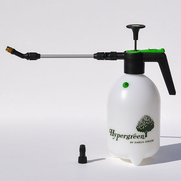 ��2L�ۥ��󥰥Υ����߰���ʮ̸������޻��ۥ��ץ졼��2��åȥ� ZIK-10000