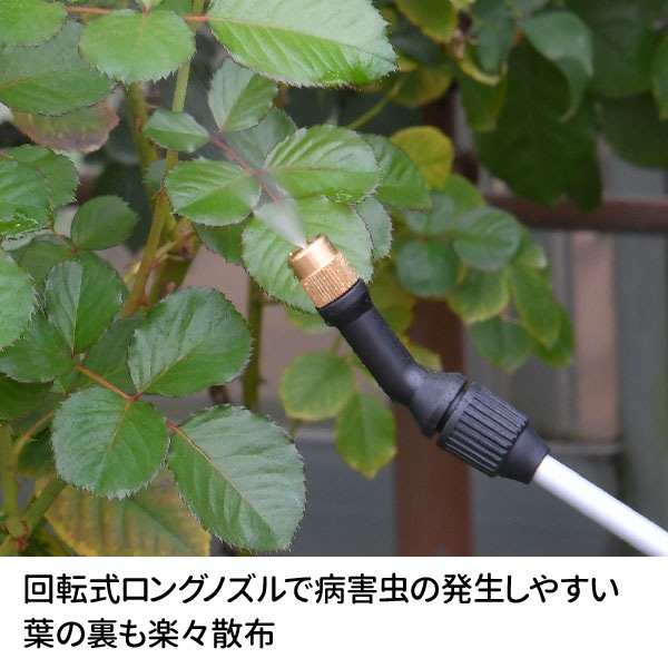 ��2L�ۥ��󥰥Υ����߰���ʮ̸������޻��ۥ��ץ졼��2��åȥ� ZIK-10000