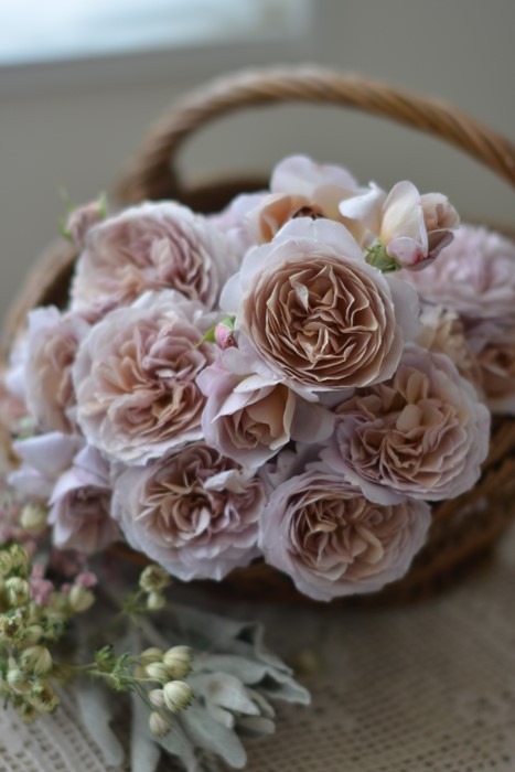 ���ߵ����ġۥХ��� �ѥ˥� ���� 6��ȭ�����ʡ����ӿ建�� �ʼ���Ͽ�д���ϡ�Kb-RM�ա�0116�����