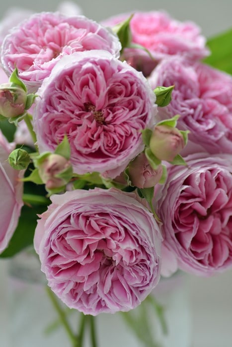 ���ߵ����ġۥХ��� �ۡ��� ���� 6��ȭ�����ʡη����ʼ�ϡ�J-RO��