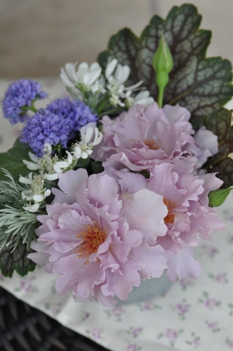 Хġġۥ塼ꥢ  6ȭʡӿ建 ϿʼϡKb-KBO