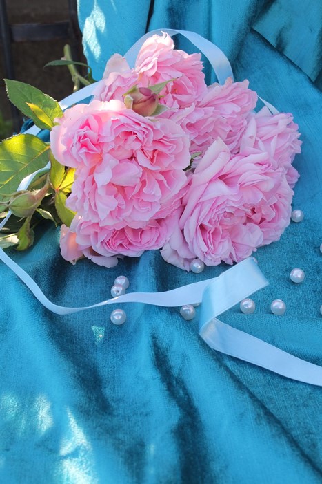 ���ߵ����ġۥХ��� ����������ȥ�ͥå� ���� 6��ȭ�����ʡ����ӿ建�� �ʼ���Ͽ�д���ϡ�Han-DEL��