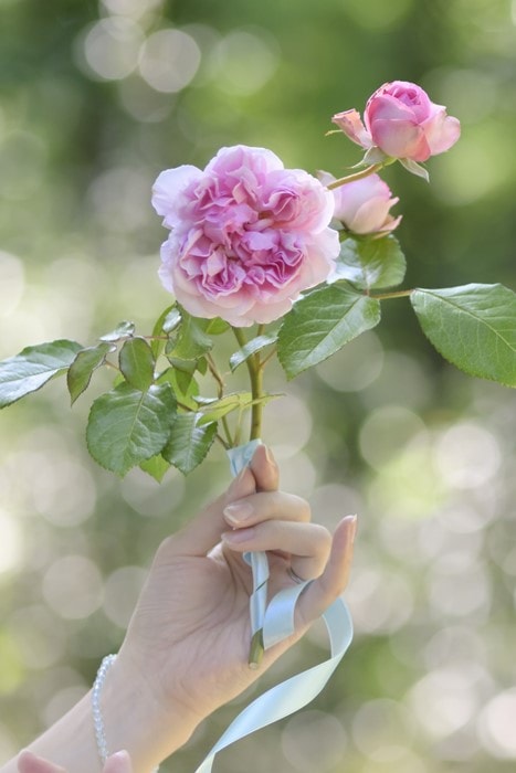 ���ߵ����ġۥХ��� ����������ȥ�ͥå� ���� 6��ȭ�����ʡ����ӿ建�� �ʼ���Ͽ�д���ϡ�Han-DEL��