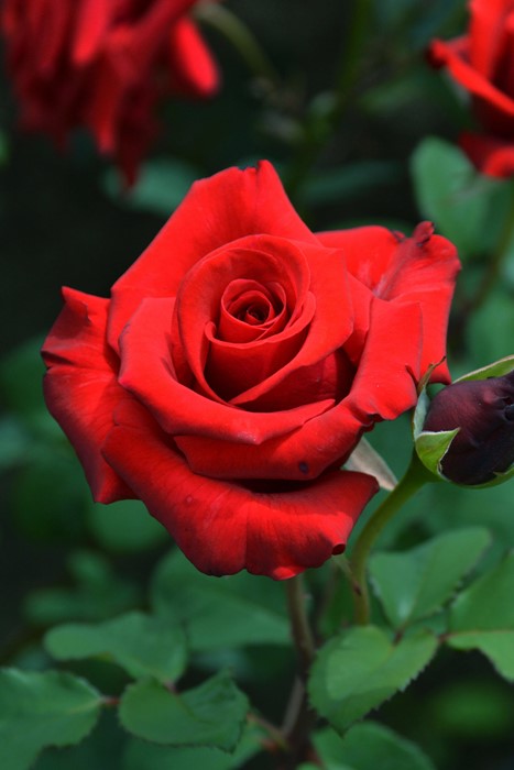 ġۥХ ǥʥڥʥ  6ȭʡJ-HT20