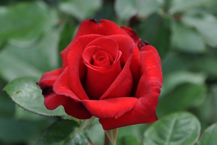 ġۥХ ǥʥڥʥ  6ȭʡJ-HT20