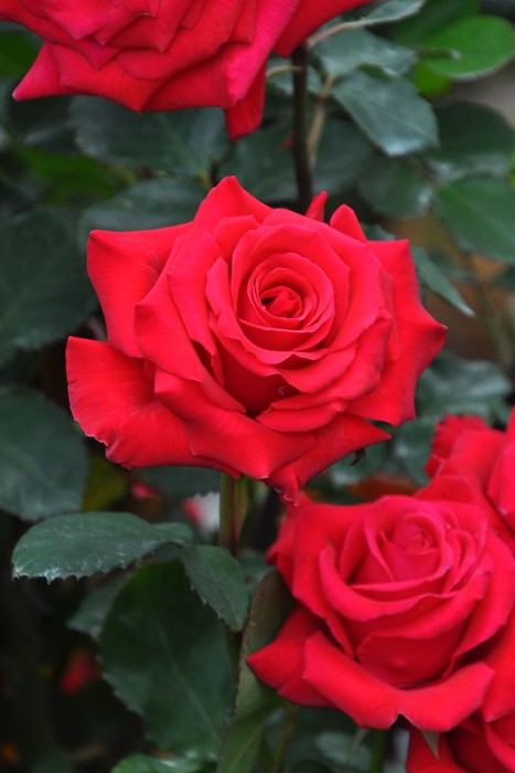 ġۥХ ǥʥڥʥ  6ȭʡJ-HT20