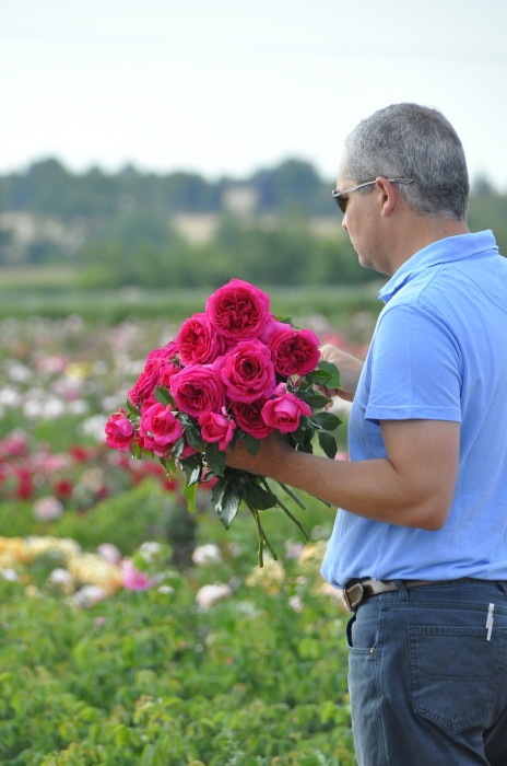 ġۥХ 쥸ޥ륳  6ȭʡӿ建 ϿʼϡHan-DEL