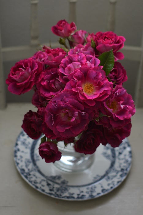 ġۥХ Хå  6ȭʡӿ建 ʼϿдϡKb-RM