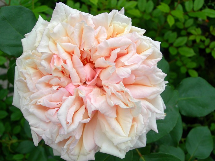 Хġġۥɥǥ  6ȭʡJ-OC20