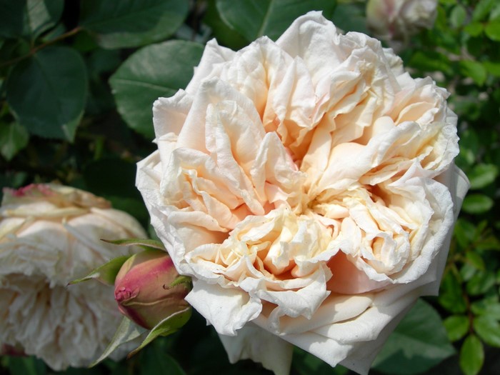 Хġġۥɥǥ  6ȭʡJ-OC20