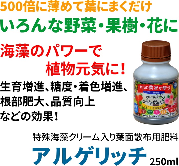 ���륲��å� 250ml �ü쳤�����꡼���������̻��������� ���ڥ��åȤ�Ʊ���Ģ� ZIK-000