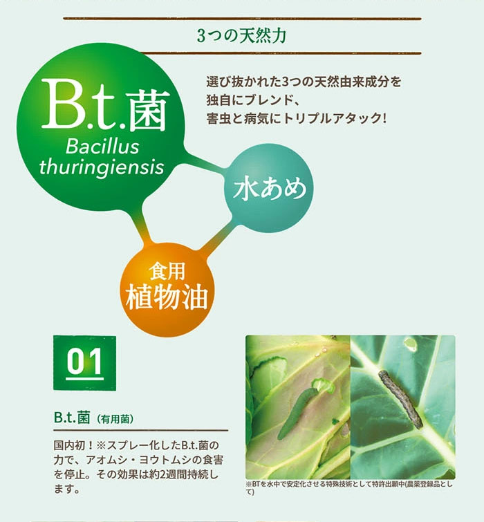 ڥʥۥ٥˥ʥ륹ץ졼 1000ml ZIK-10000