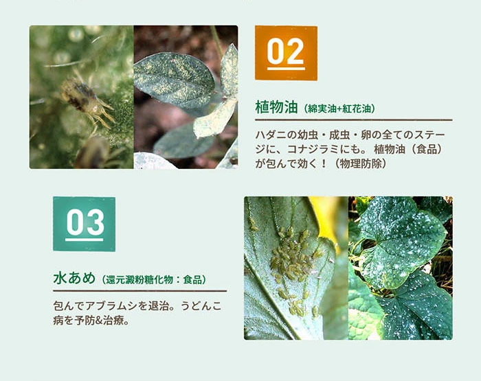 ڥʥۥ٥˥ʥ륹ץ졼 1000ml ZIK-10000