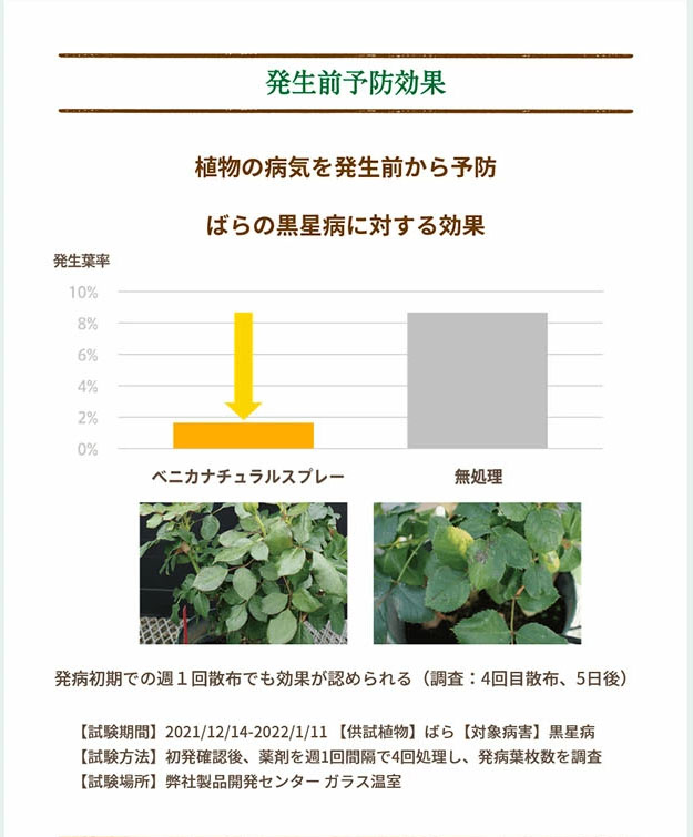 ڥʥۥ٥˥ʥ륹ץ졼 1000ml ZIK-10000