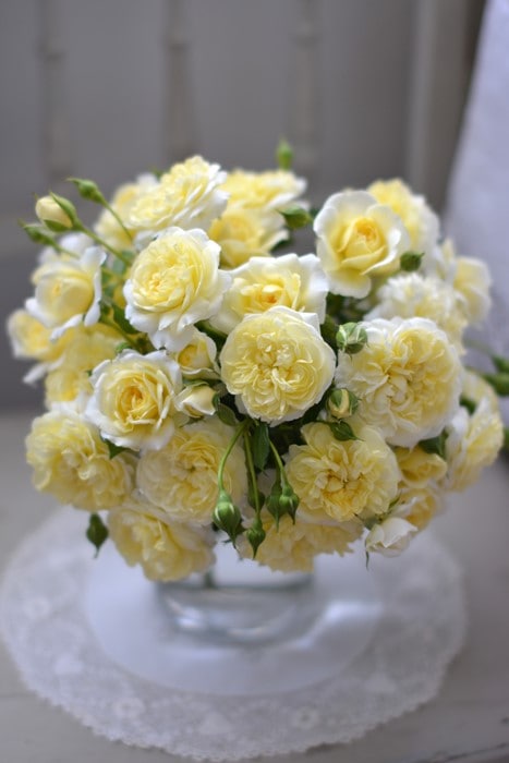 ���ߵ����ġۥХ��� �ץ��ͥ� ���� 6��ȭ�����ʡ����ӿ建�� �ʼ���Ͽ�д���ϡ�Kb-RM�ա�0116�����