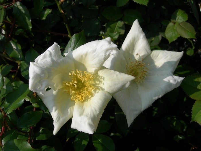 ġۥХ ƥ  6ȭʡJ-OC20