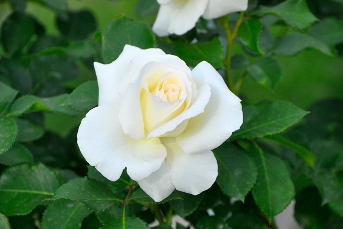 Хġġۥ͡Хĥ  6ȭʡJ-CL20