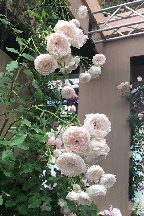 Хġġۥꥨå  6ȭʡӿ建 ϿʼϡKb-KBO