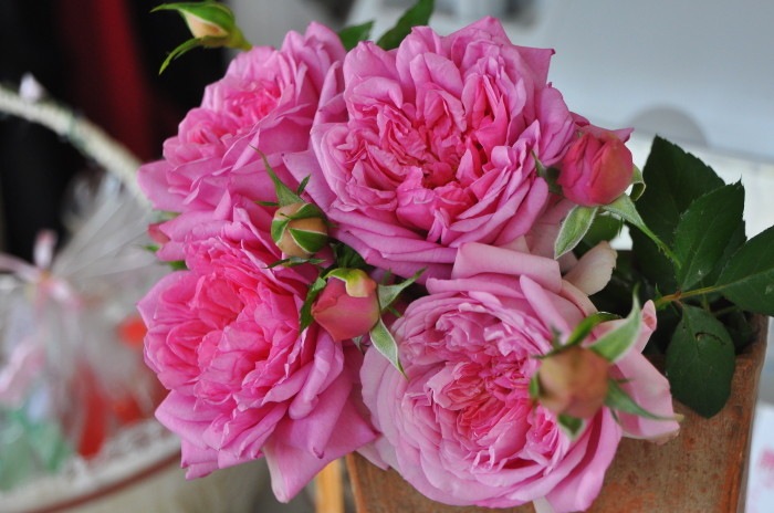 ġۥХ ݥѥɥ  6ȭʡӿ建 ϿʼϡHan-DEL