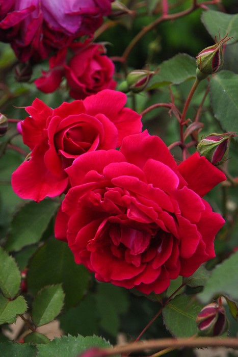 Хġġۥ륹ƥץåġ  6ȭʡJ-OB20