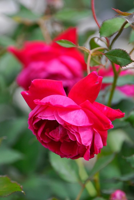 Хġġۥ륹ƥץåġ  6ȭʡJ-OB20